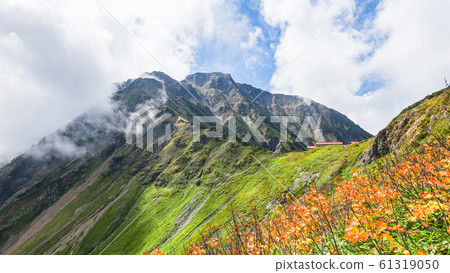 秋天的五棱岳登山（白嶽山的五棱岳景觀） 61319050