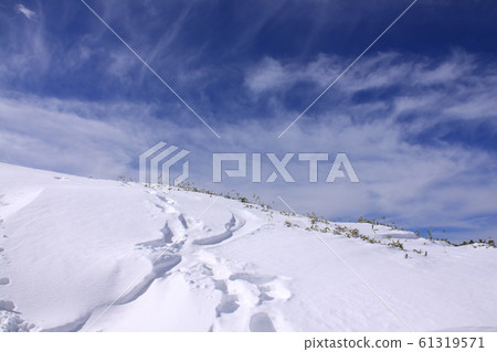 Blue sky and snow field, footprints Location: Murodo Blue sky and snow field, footprints Location: Murodo 61319571