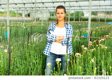 Woman gardener is standing with flowers carnation in orangery Woman gardener is standing with flowers carnation in orangery 61320123