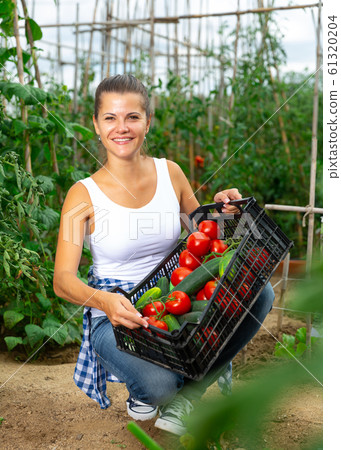 Smiling woman gardener with basket of harvest of fresh vegetables Smiling woman gardener with basket of harvest of fresh vegetables 61320204