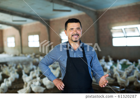 Man standing among white gooses Man standing among white gooses 61320287