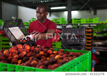 Worker working at fruit warehouse 61322276