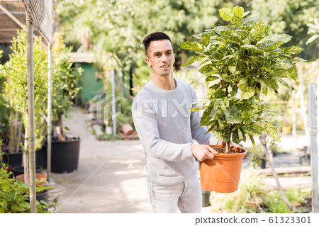 Portrait of male gardener with blooming flower who is taking care of them 61323301