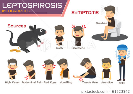 Leptospirosis infographics. Leptospirosis about 61323542
