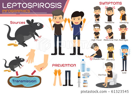 Leptospirosis infographics. Leptospirosis about 61323545
