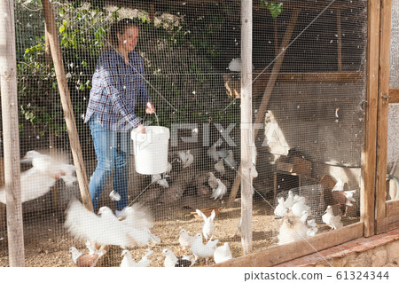 Woman feeding domestic pigeons Woman feeding domestic pigeons 61324344