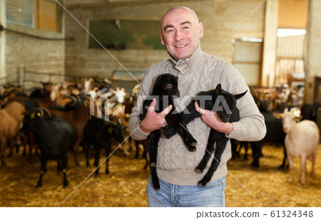 Positive farmer with goatlings on his hands Positive farmer with goatlings on his hands 61324348