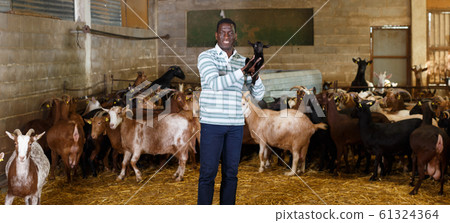 African American farmer with goatlings 61324364