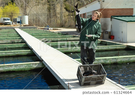 Woman holding sturgeon Woman holding sturgeon 61324664