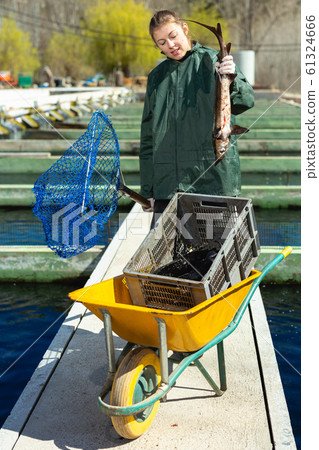 Female holding sturgeon fish Female holding sturgeon fish 61324666