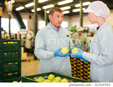 Dissatisfied foreman reprimanding workwoman about quality of apples Dissatisfied foreman reprimanding workwoman about quality of apples 61324763