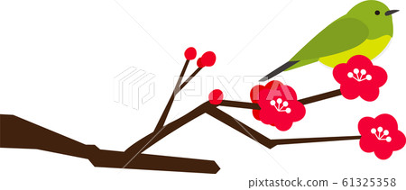 Early spring, plum, branch, white-eye Early spring, plum, branch, white-eye 61325358