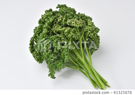 "Parsley" of vegetables and herbs. Small dust may be left on the white background. 61325878
