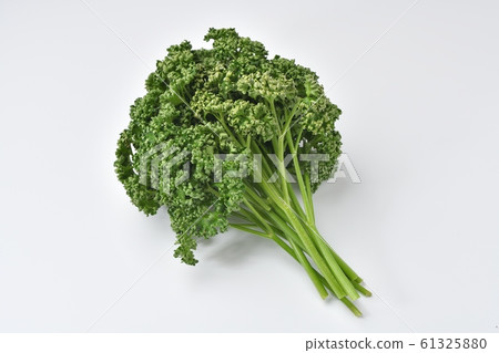 "Parsley" of vegetables and herbs. Small dust may be left on the white background. "Parsley" of vegetables and herbs. Small dust may be left on the white background. 61325880