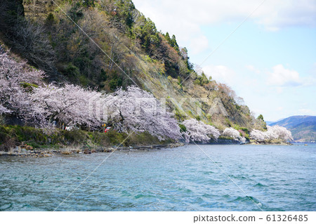 Kaizu Osaki Sakura Lake Biwa 61326485