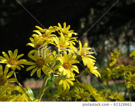 大tsu /新宿' 大tsu /新宿' 61328661