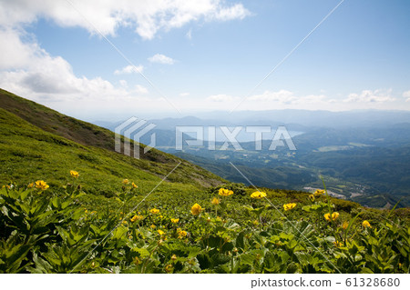 Miyama radish saw 61328680