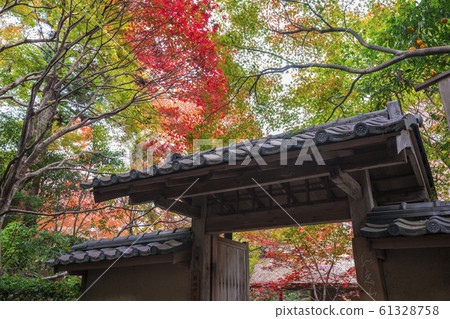 Kyoto: Autumn leaves of Enri-an Kyoto: Autumn leaves of Enri-an 61328758