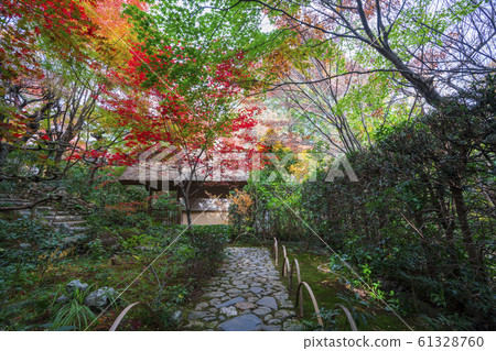Kyoto: Autumn leaves of Enri-an Kyoto: Autumn leaves of Enri-an 61328760