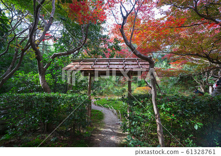 Kyoto: Autumn leaves of Enri-an 61328761