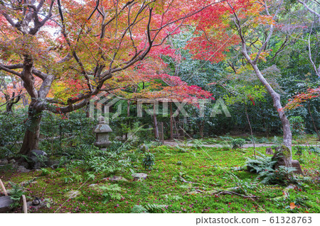 Kyoto: Autumn leaves of Enri-an Kyoto: Autumn leaves of Enri-an 61328763