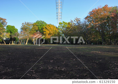 Open space of Kashiwa-shi, Chiba southern park 61329150