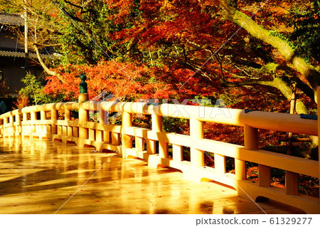Autumn leaves of Tsurusen River 61329277