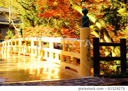 Autumn leaves of Tsurusen River Autumn leaves of Tsurusen River 61329278