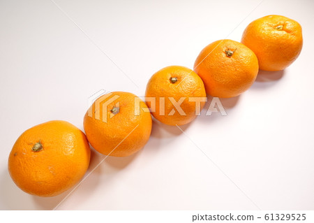 Mandarin orange 61329525