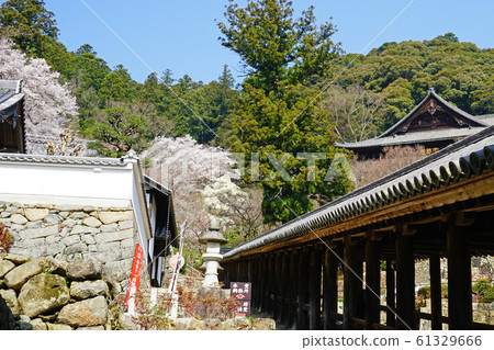 Hase-ji Temple櫻花奈良縣 61329666
