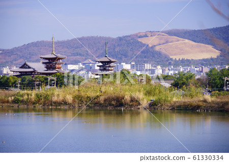 Yakushi-ji East Tower / West Tower 12 which appeared for the first time in 10 years Yakushi-ji East Tower / West Tower 12 which appeared for the first time in 10 years 61330334