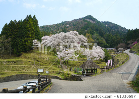 Buddha Temple Sakura Nara Prefecture Buddha Temple Sakura Nara Prefecture 61330697
