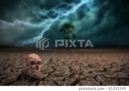 Skull man on land to the ground dry cracked and 61331245