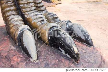 dinosaur foot dinosaur foot 61331425