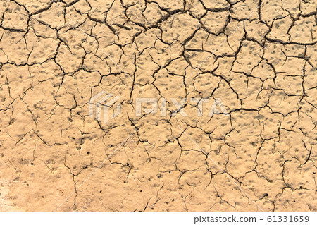 cracked ground for background cracked ground for background 61331659