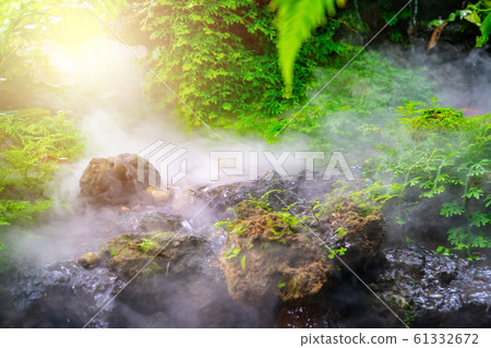 green garden with morning fog and waterfall 61332672