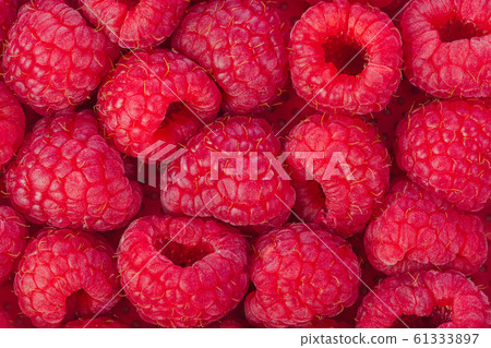 Raspberry background 61333897