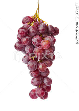 Ripe grapes Ripe grapes 61333909