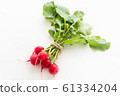 Radish 61334204
