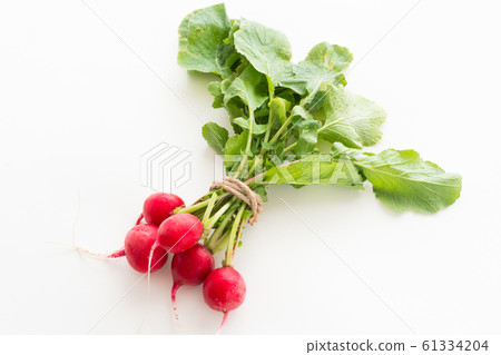 Radish 61334204
