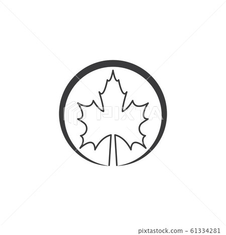 Maple leaf vector illustration 61334281