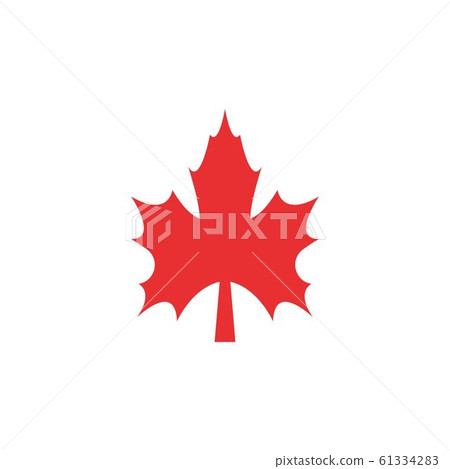 Maple leaf vector illustration Maple leaf vector illustration 61334283