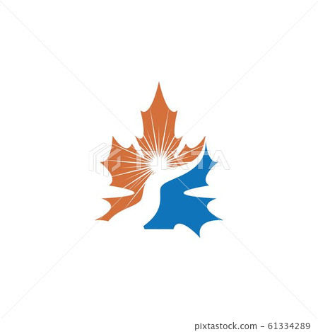Maple leaf vector illustration 61334289