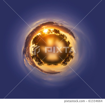 Abstract circle of sunset shadows tree and sky 61334664