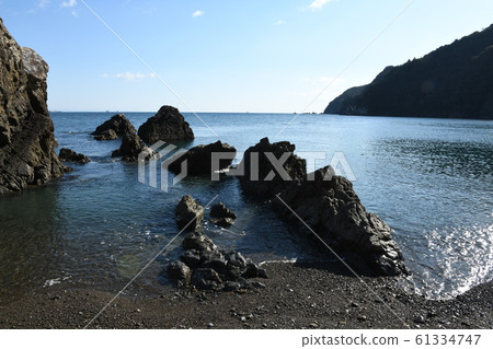 Winter Pacific Coast Rocks 61334747