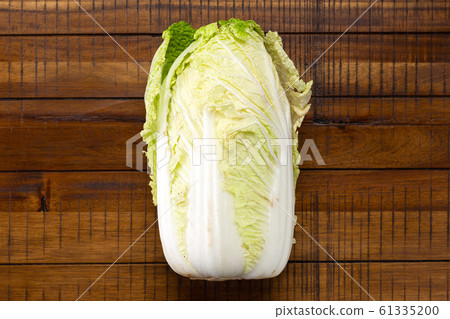 Cabbage 61335200