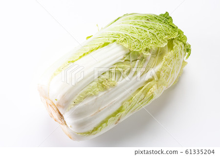 中國的白菜 61335204