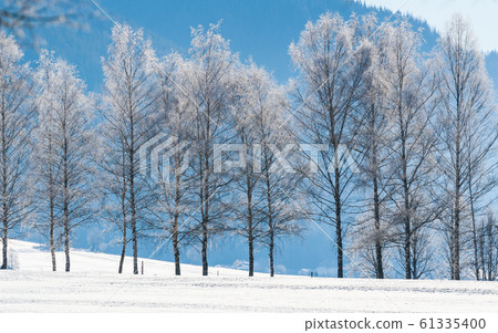 Peaceful snowy landscape in Tragos, Oberort in Peaceful snowy landscape in Tragos, Oberort in 61335400