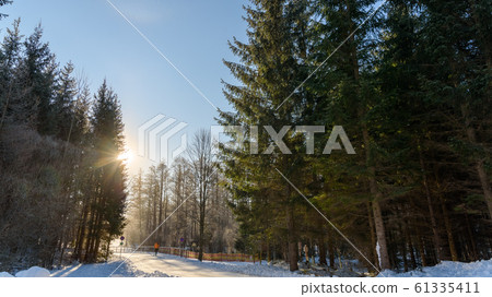 Peaceful snowy forest landscape in Tragos, Oberort Peaceful snowy forest landscape in Tragos, Oberort 61335411