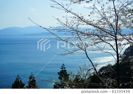 Okubiwako Park Way櫻花滋賀 61335439